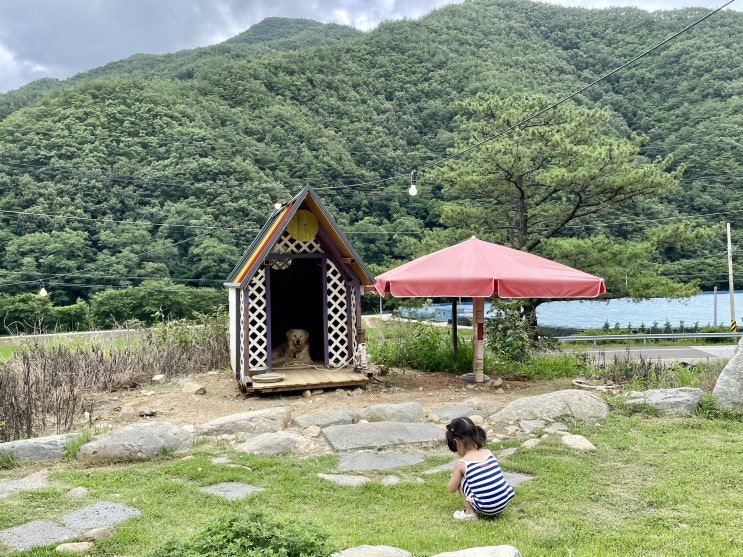  카페 폴몬트 / 무주 반디랜드 근처 아이과 가기 좋은 카페 (+애견동반카페)