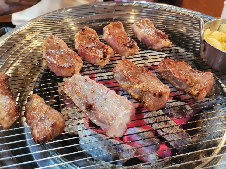 서울 강서구 맛집 양갈비 양도둑 까치산점