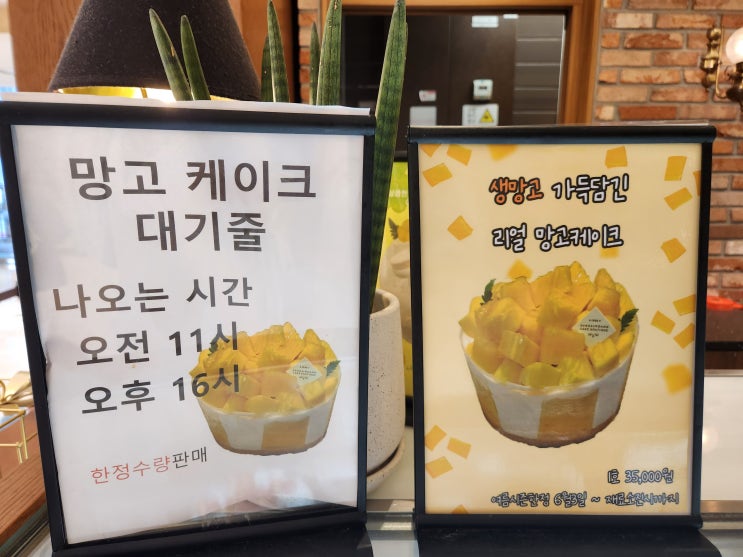  성심당 망고케이크 예약 사는 방법 못샀을땐 이걸 사자