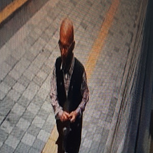 실종경보(정철로)