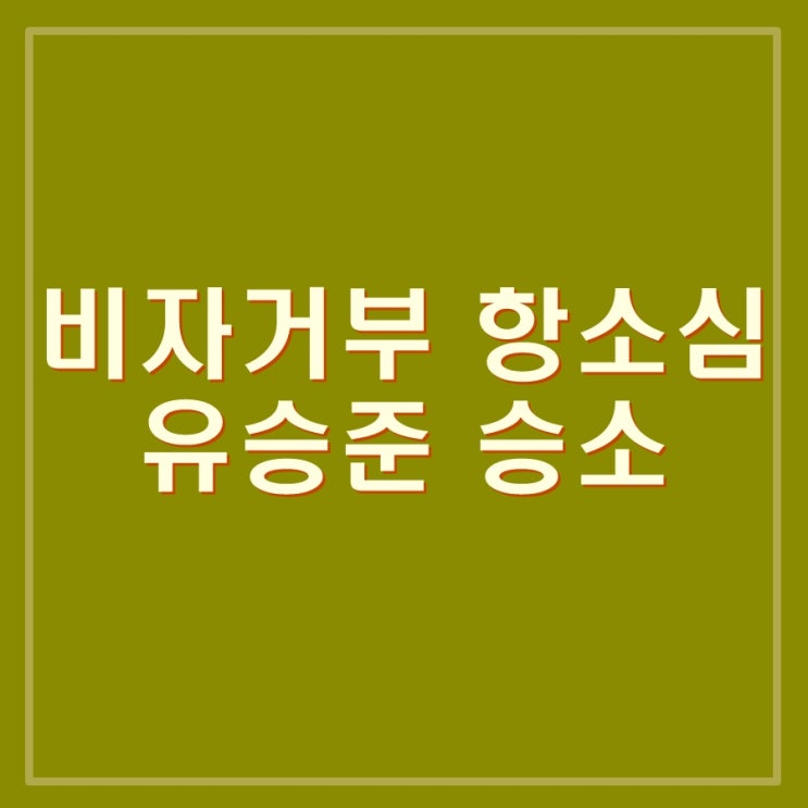  스티브 유 유승준 군대관련 비자거부 항소심 판결 결과 승소