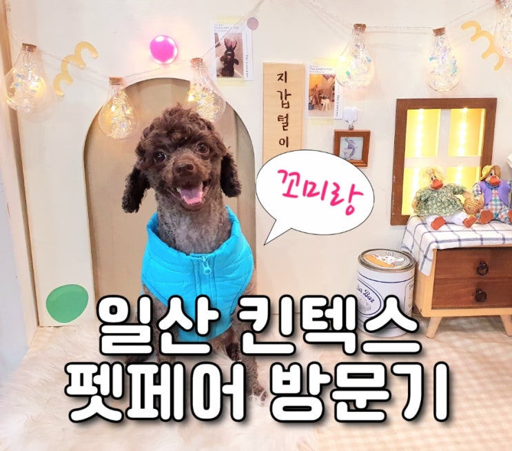  일산 : 킨텍스 펫쇼 펫페어 후기