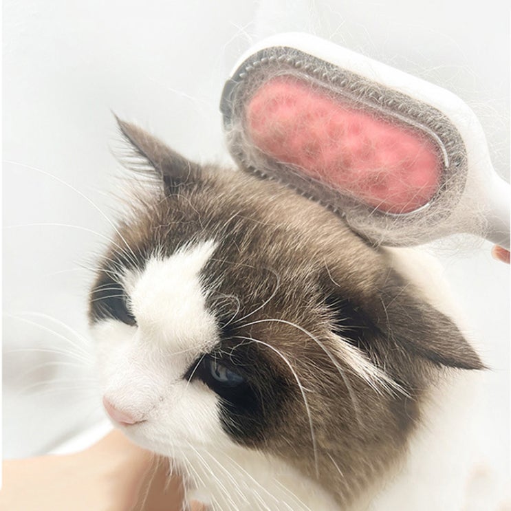 "고양이 개를 위한 양면 제모 브러쉬: 가토 액세서리의 애완 동물 손질 빗으로 편안하고 효과적인 털 관리"