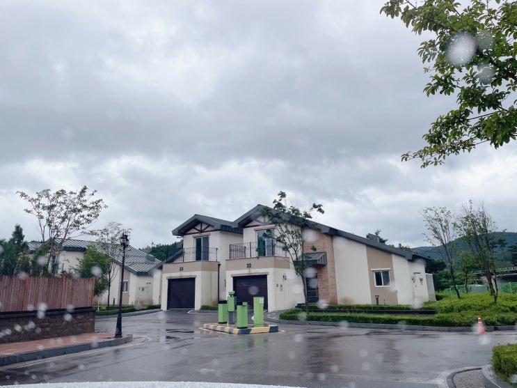  [평창여행] 르꼼데 블루 ,대관령 양떼 목장                                      대관령 주주파크
