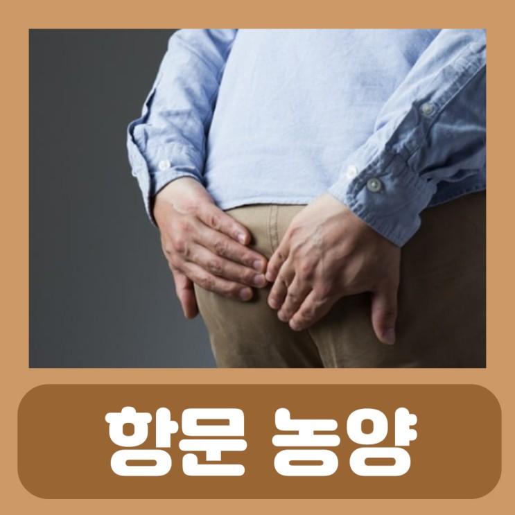 항문 농양 회복 치료 엉덩이 종기 약 모소낭 모소동 통증 원인