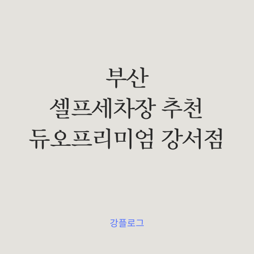  부산 셀프세차장 추천 듀오 프리미엄 강서점