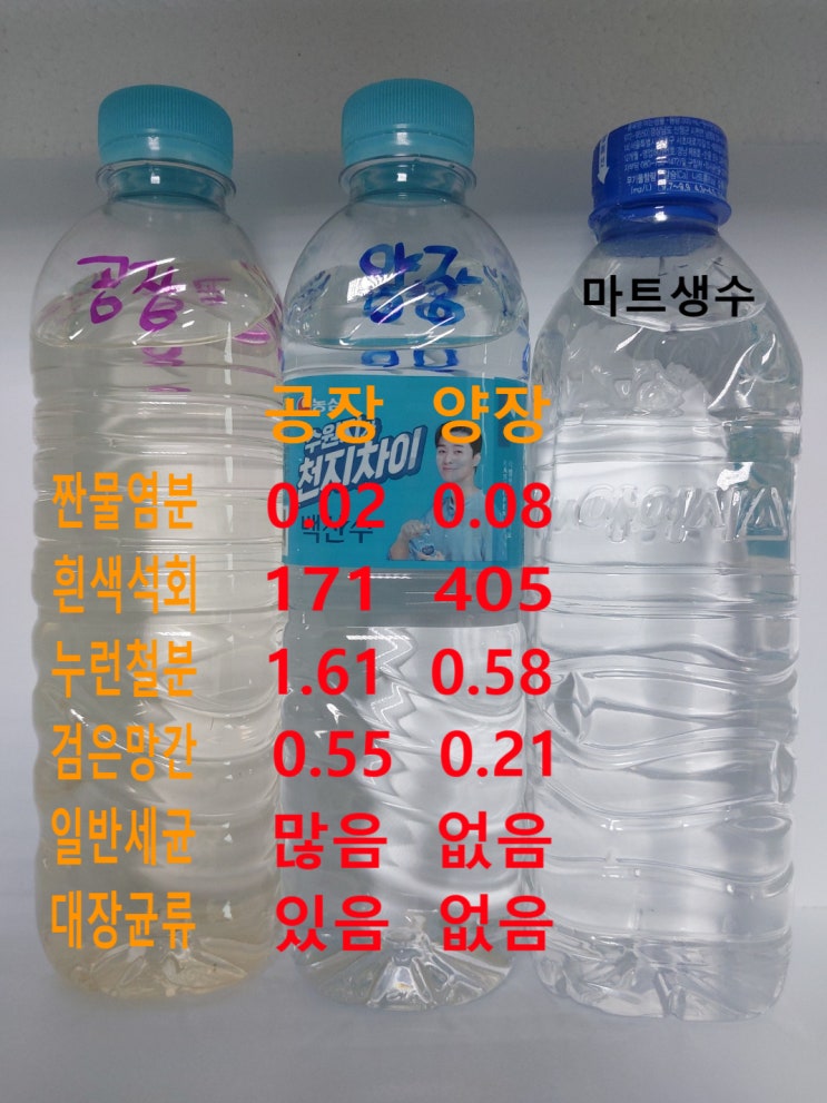 요즘인기있는 풀빌라 수영장, 지하수 녹물 VS 짠물, 어떤 지하수 수질이 수양장물로 좋은가? 요즘인기있는 풀빌라 수영장, 지하수 녹물 VS 짠물, 어떤 지하수 수질이 수양장물로 좋은가?