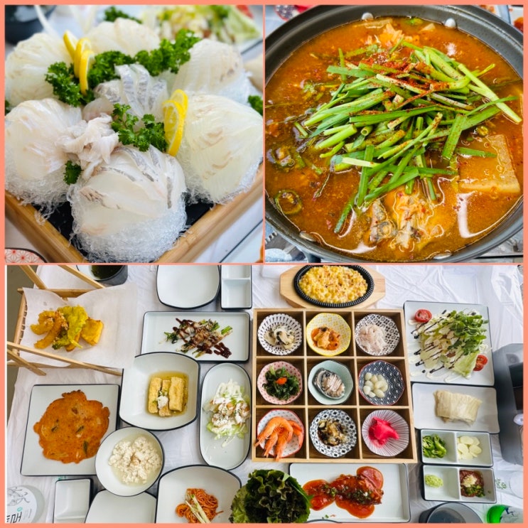  강릉 맛집.윌횟집.경포해변 상다리 부러지는 회 맛집. 애견 동반 식당.