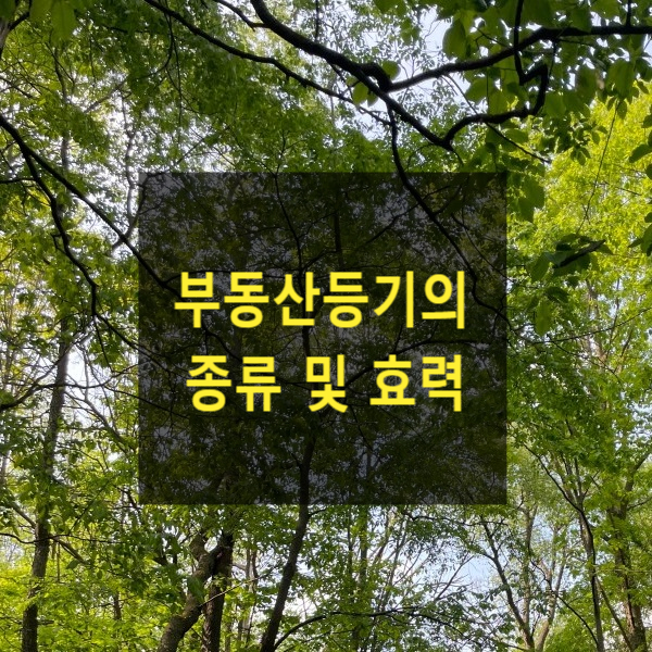  부동산등기의 종류 및 효력