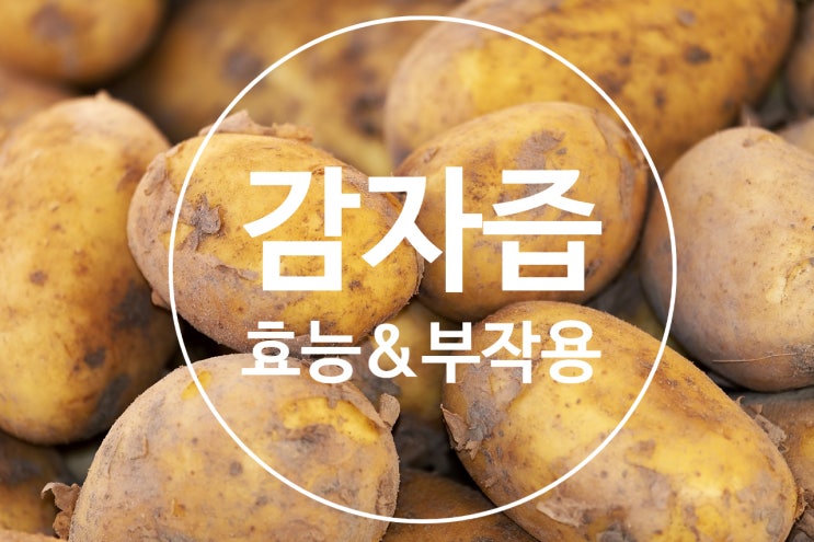 생감자즙 효능과 부작용은? 전분(녹말)이 핵심인 듯!