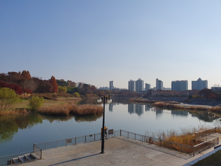  "제주도 부동산 리뷰 (제주 제2공항 중심)" 공인중개사 김형민