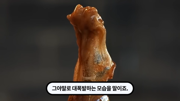 콜라와 멘토스는 왜 만나면 폭발할까? 평범한 것들의 만남과 극적인 반응 이야기 콜라와 멘토스는 왜 만나면 폭발할까? 평범한 것들의 만남과 극적인 반응 이야기