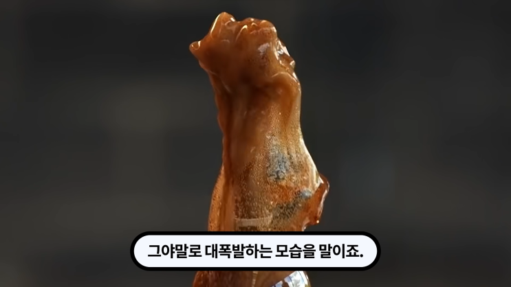 콜라와 멘토스는 왜 만나면 폭발할까? 평범한 것들의 만남과 극적인 반응 이야기