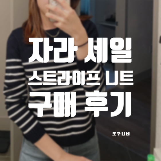  Zara 자라 세일 추천, 자라 스트라이프 니트