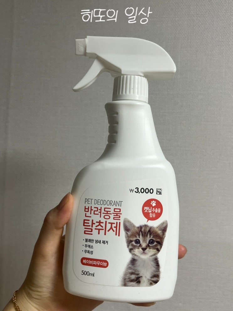  고양이 임보 일기 1 / 고양이 임시보호를 위해 필요한 준비물 / 고양이 임보 / 사지말고 입양하세요!