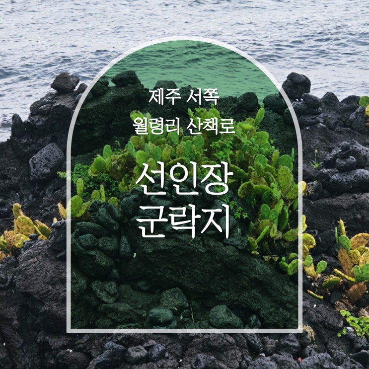  제주도 서쪽 볼거리, 월령리 선인장 군락지 산책로