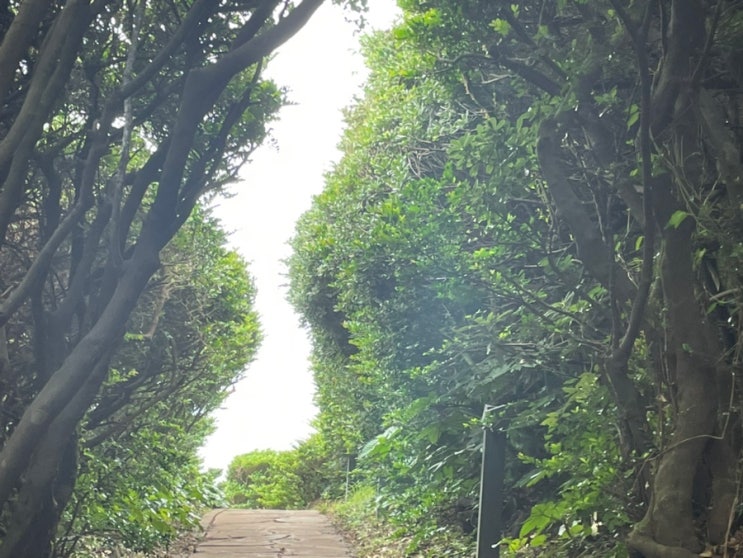  제주도 남원 큰엉해안경승지 한반도 포토존 자연경관명소