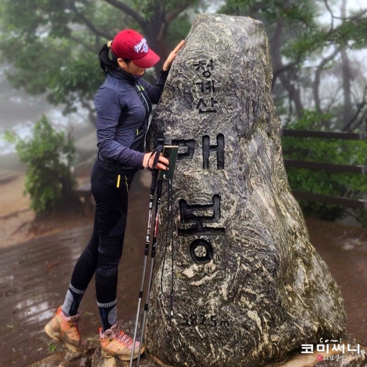 [청계산 등산코스와 등산시간] 최단코스 원터골 코스 초보 우중산행 (청계산 주차장)