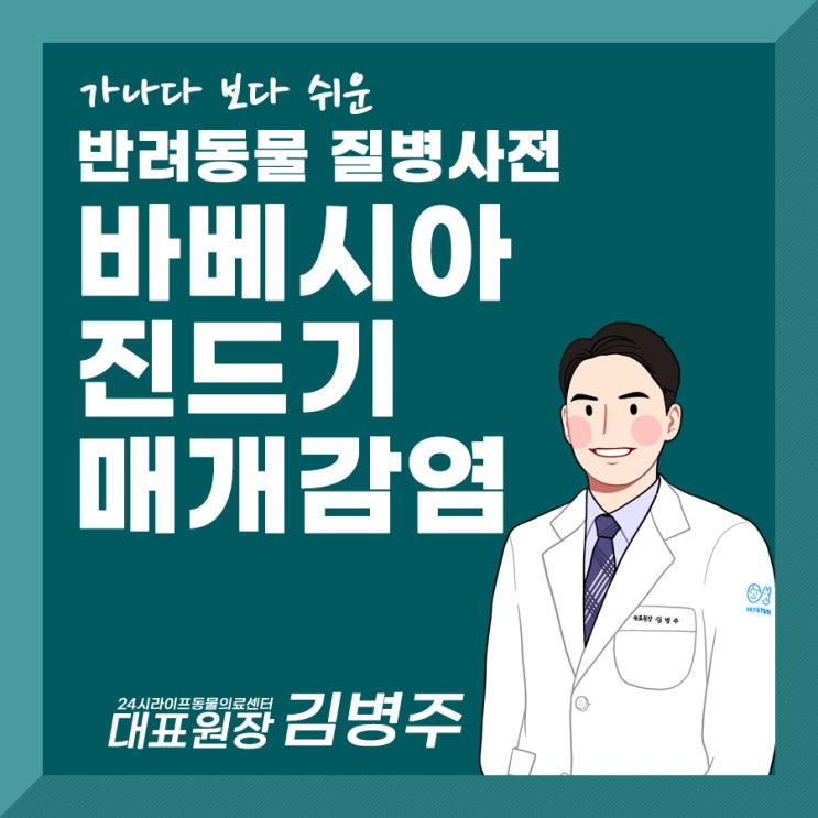 강아지진드기방지 왜 해야할까 : 바베시아 감염증 조심해야해요