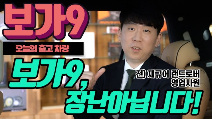  보가9 스탠다드 브라운 트리밍, 카니발 하이리무진의 정석!