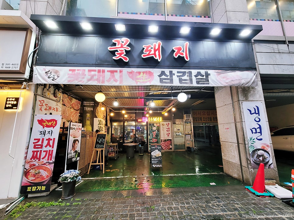 산본꽃돼지 사진 1