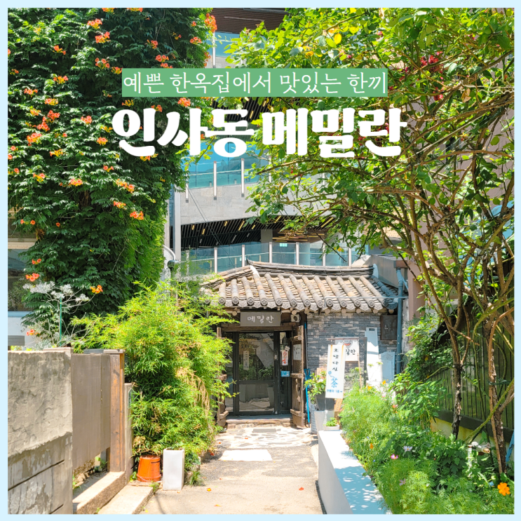  인사동 쌈지길 맛집 (한옥을 개조한 메밀란에서 냉메밀 먹고 온 후기)