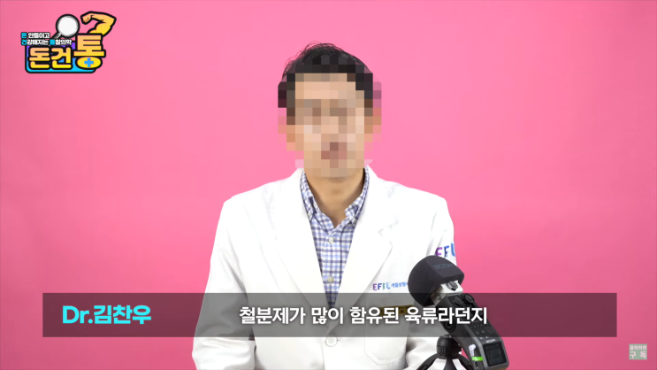 철(Fe) 많아도 적어도 안된다? 철분 대사 빈혈 철중독 과다증