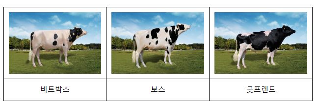 2023년 상반기 젖소 한국형 보증씨수소 선발 2023년 상반기 젖소 한국형 보증씨수소 선발