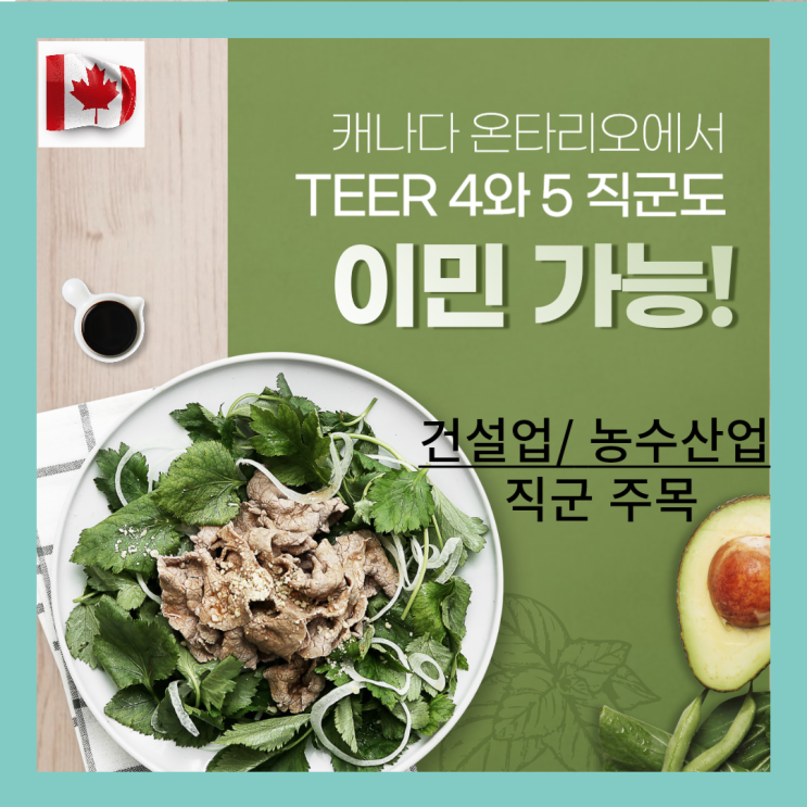  캐나다 온타리오 주에서 TEER 4와 5 직군도 이민이 가능!