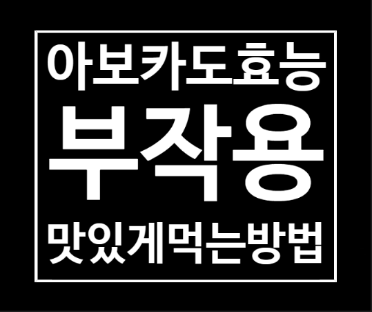  아보카도 효능 부작용 먹는법 싹 정리