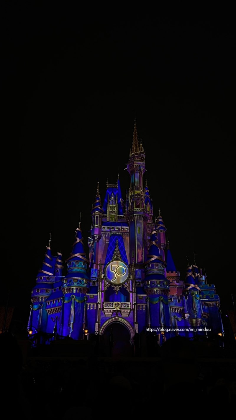 플로리다여행 3일차 디즈니월드 미키의 크리스마스파티 | 할리우드 스튜디오 | 매직킹덤 | 디즈니월드 호퍼티켓 : 네이버 블로그, image size:800x1422