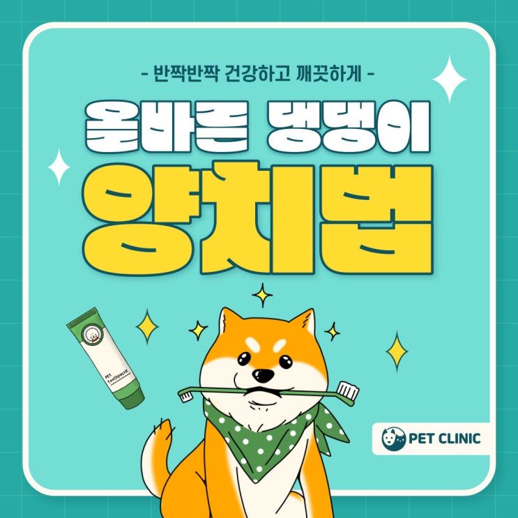  강아지 양치방법