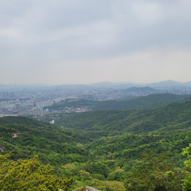 마이클 펠프스 명언