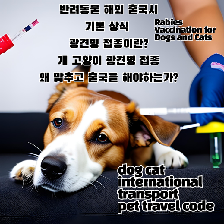  강아지 고양이 개 해외출국 검역 광견병 접종 필수일까?Rabies Vaccination for Dogs and Cats