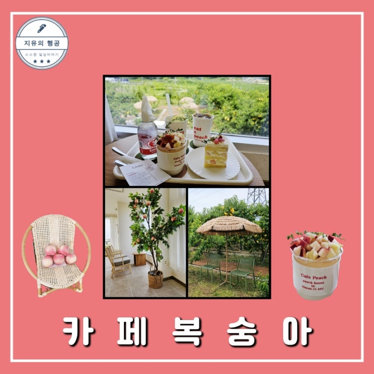  카페복숭아ㅣ이천 디저트 맛집 애견동반 내돈내산