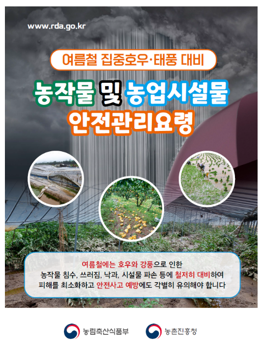 농촌진흥청, 농업 현장 호우 피해 최소화 총력 농촌진흥청, 농업 현장 호우 피해 최소화 총력