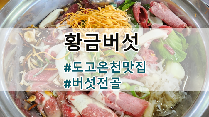  아산 도고 온천 맛집,황금버섯 내돈내산 후기