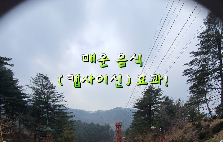 매운 음식 (캡사이신)효과! 매운 음식 (캡사이신)효과!
