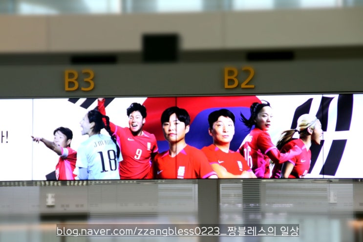 호주-뉴질랜드 <b>여자 월드컵</b>" 참여차 <b>출국</b>하는 콜린벨호... 