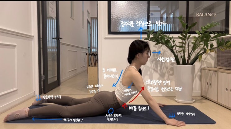  굽은등, 등 근육 강화에 도움 되는 필라테스 스완(swan)