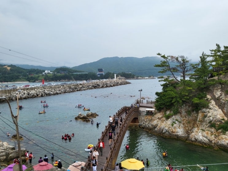 삼척 장호항 스노쿨링 꿀팁 (스노쿨링마스크, 구명조끼, 샤워)