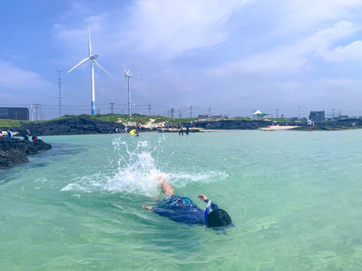 제주 코난비치 스노쿨링 위치 제주도 월정리해수욕장 샤워 제주 코난비치 스노쿨링 위치 제주도 월정리해수욕장 샤워