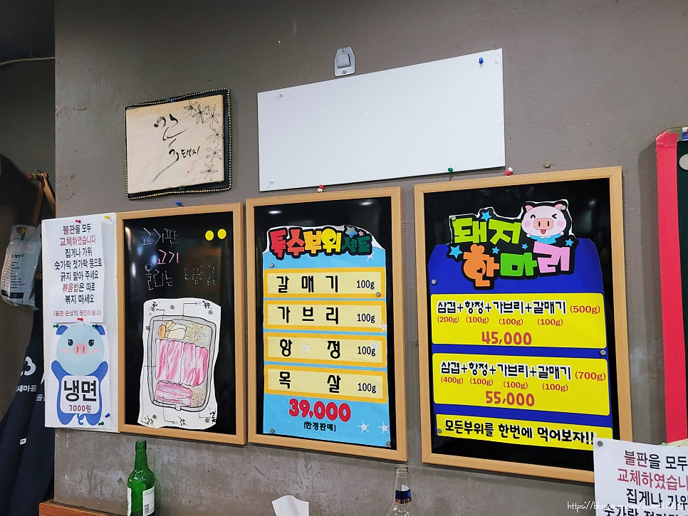 산본꽃돼지 사진 5