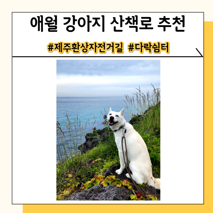 애월 제주환상 자전거길 따라가며 반려견 산책하기 애월 제주환상 자전거길 따라가며 반려견 산책하기