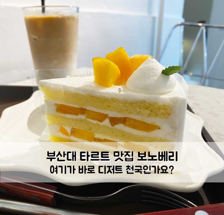 부산대카페 디저트 천국 타르트 맛집 보노베리