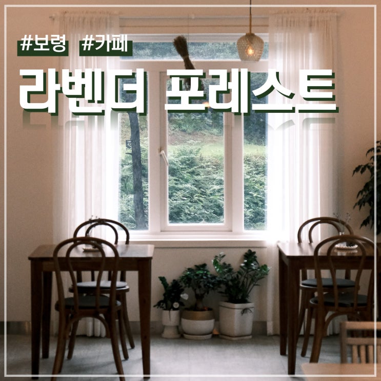  충남 보령 카페 숲 자연뷰 라벤더 포레스트