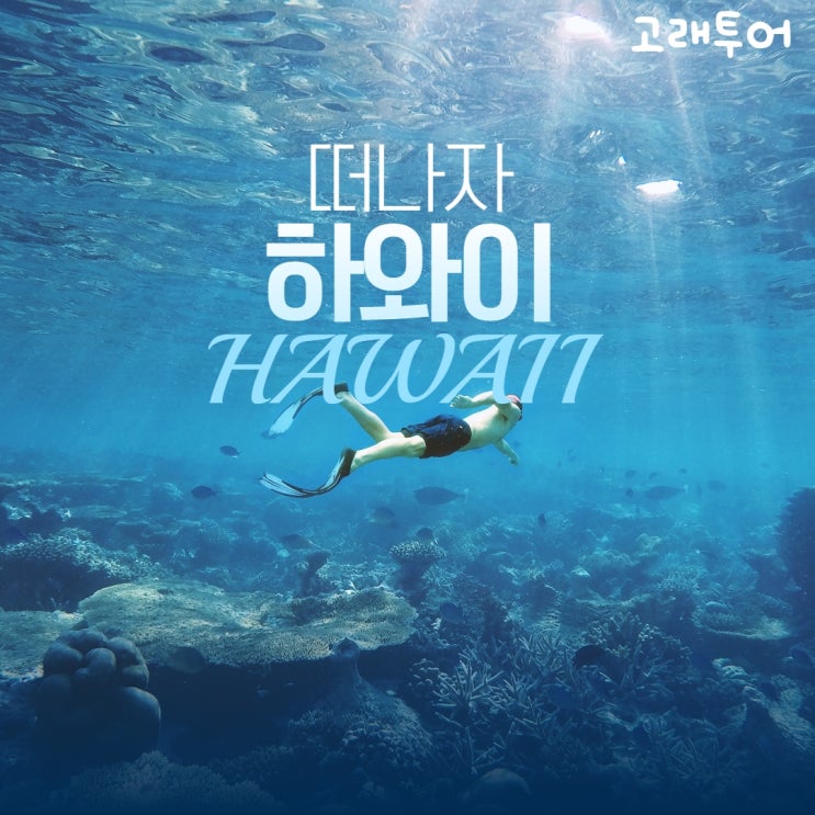  태평양의 보물섬 하와이로 떠나보~자!