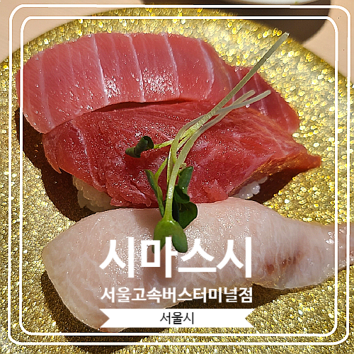 [시마스시 서울고속버스터미널점] 회전 초밥 신생 맛집