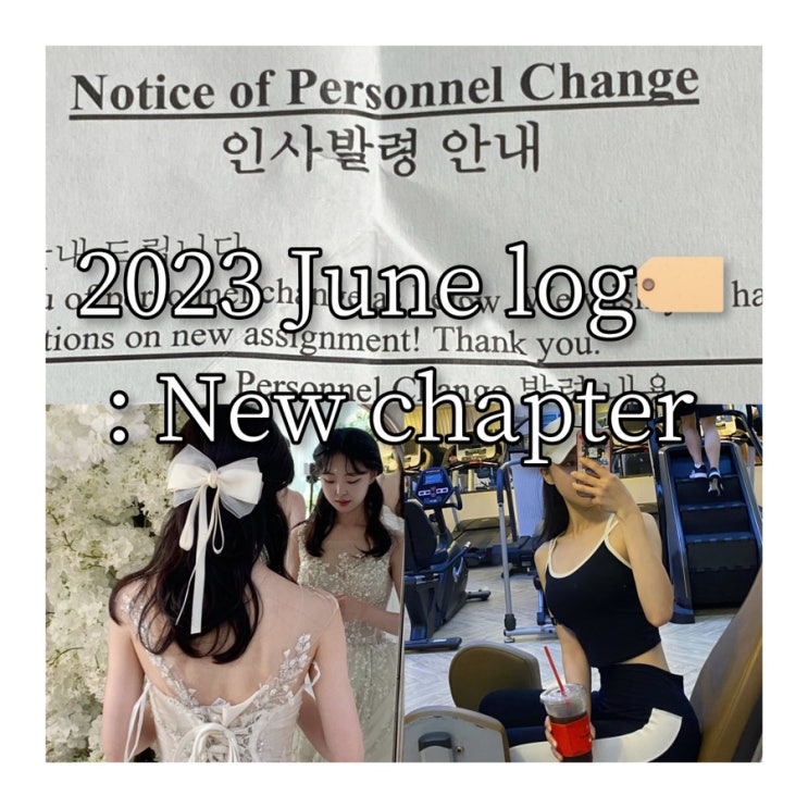 23년 6월 일상 예비 새댁의 일상/인사발령/운동