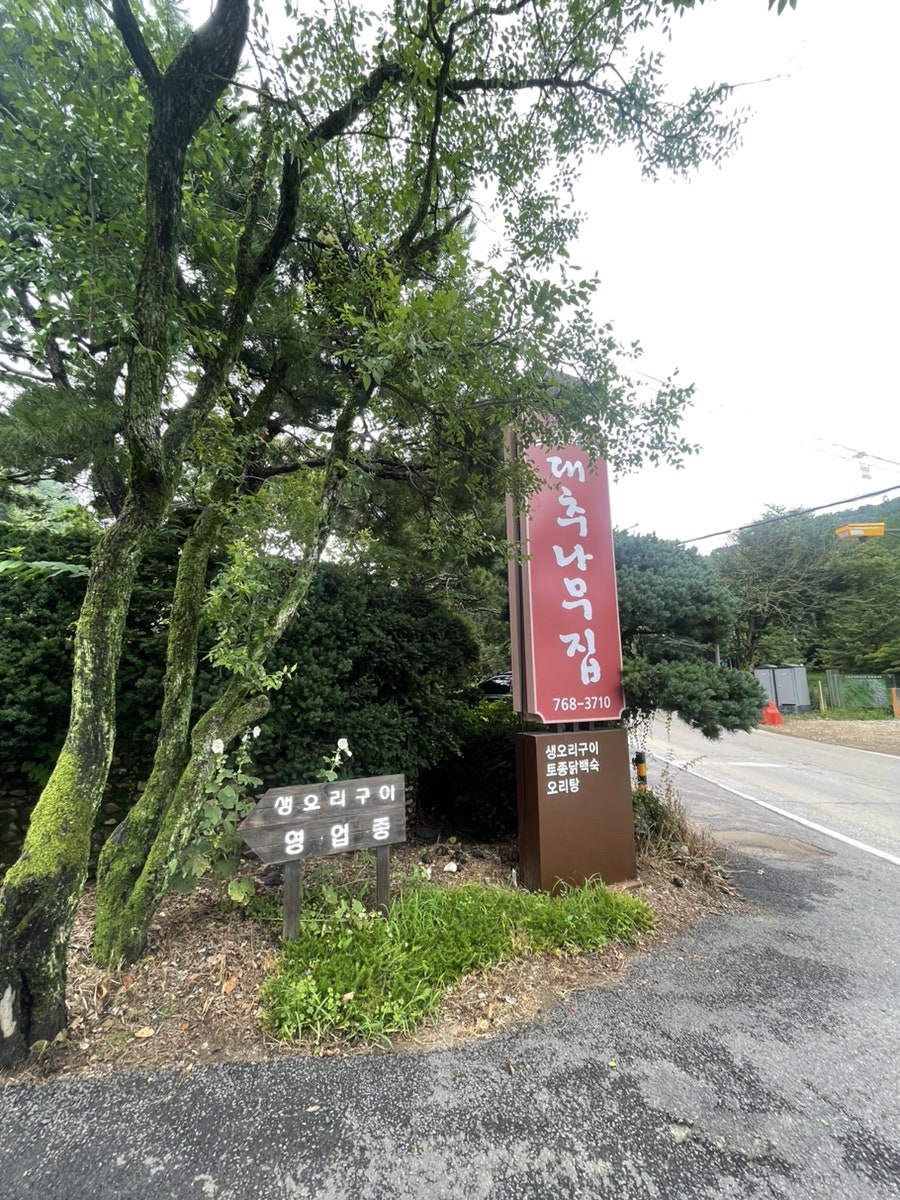대추나무집 사진 2
